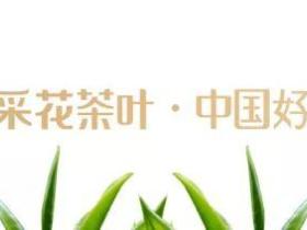 云上五峰 云上茶会——五峰首届线上春茶节今日在采花茶业科技园启幕!